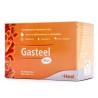 Medibiotix Gasteel Plus 30 Sticks 3 G | Probióticos