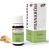 Pranarom A.E. Jengibre Rizoma 5 Ml