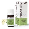 Pranarom A.E. Manzanilla Romana Flor 5 Ml