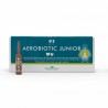 GSE Biotic Aerobiotic Junior 10 Ampollas | Solución Natural
