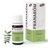 PRANAROM ACEITE ESENCIAL DE LENTISCO 5ML