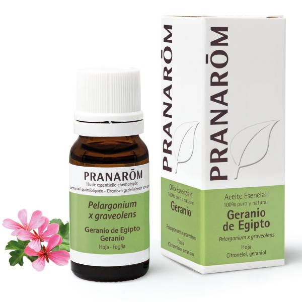 Pranarom Aceite Esencial de Geranio de Egipto 10Ml