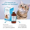 Pacifeel Vet 100Ml Jarabe Heel | Veterinaria