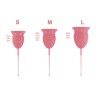 Enna Cycle Easy Cup – Pack 2 Copas Talla S + Caja Esterilizadora – Copa Menstrual Silicona Médica