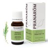 Aceite Esencial Árbol del Té | Antiséptico Natural | 10 ml