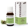 PRANARON BIO A.E.PINO SILVESTRE 10ML