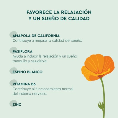 KNEIPP GUMMIES NIÑOS SUEÑO  30 CARAMELOS DE GOMA SABOR FRUTOS DEL BOSQUE