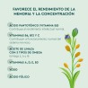 KNEIPP GUMMIES NIÑOS CONCENTRACION  30 CARAMELOS DE GOMA SABOR NARANJA