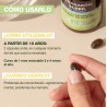 Aromaboost Focus Pranarôm | Concentración y Memoria Natural | 60 Cápsulas