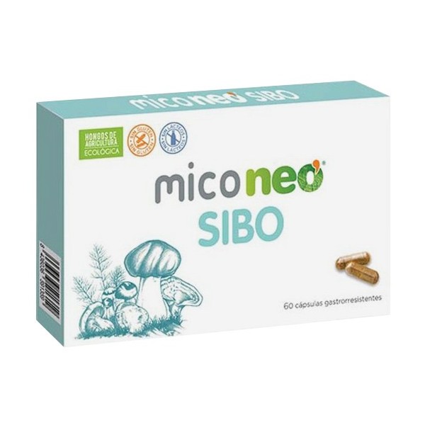 Miconeo SIBO 60 Cápsulas | Apoyo Natural para el Equilibrio