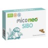 Miconeo SIBO 60 Cápsulas | Apoyo Natural para el Equilibrio