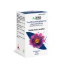 Pasiflora Arkopharma 300 mg | Relajación Natural y Sueño | 45 Cápsulas