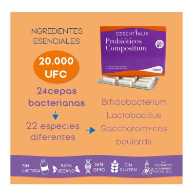 Essentialis Probóticos Compositum – 30 cápsulas gastroresistentes