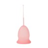Enna Cycle Pack 2 Copas Talla M + Caja Esterilizadora – Copa Menstrual Silicona Médica