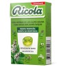 Ricola Caramelos Sin Azúcar 50 g – Sabor Menta Montaña, Caramelos Balsámicos Sin Azúcar