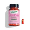 Herbalgem Gemmocaps Peri Menopausia 30 cápsulas – equilibrio natural en la transición hormonal