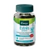Kneipp Estrés 60 Gummies Sabor Cereza – Complemento alimenticio para resistencia al estrés