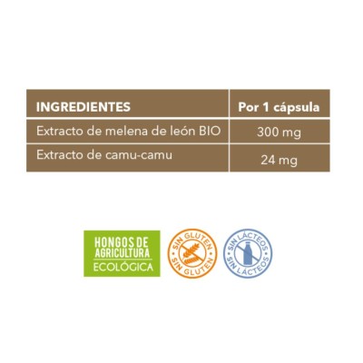 Melena de León Neo 60 Cápsulas – Suplemento Alimenticio con Extracto Ecológico de Hericium erinaceus