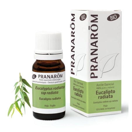 Pranarom Aceite Esencial Eucalipto Radiata Bio 10 ml AEQT
