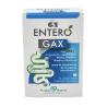 GSE Entero Gax Rapid 12 Comprimidos Gases Digestión
